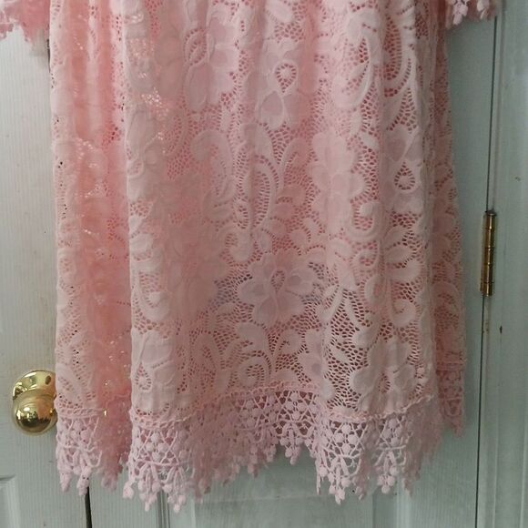 Chasing Fireflies girls pink lace dress  Sz XL (14/16) NWOT - Picture 2 of 7